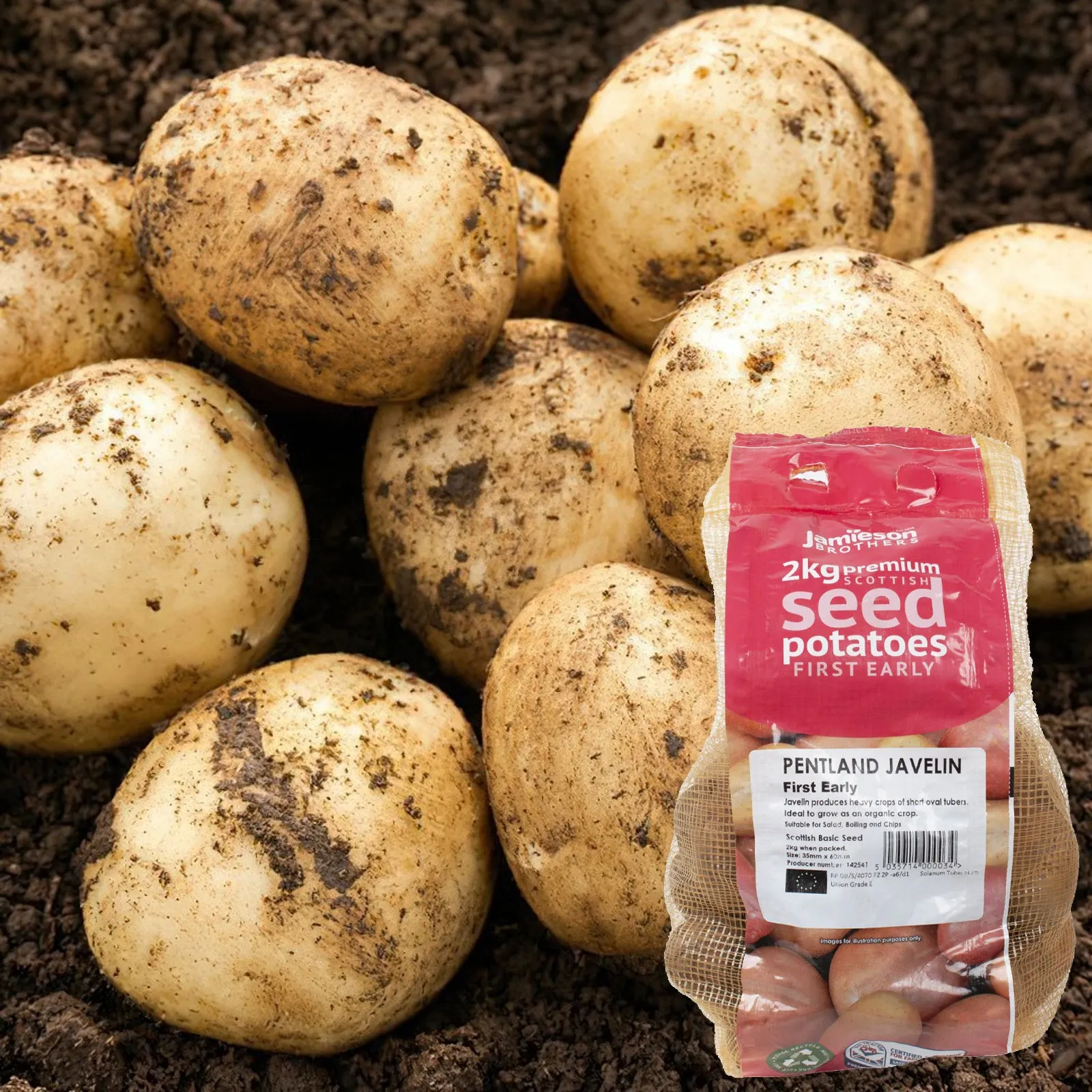 JBA Seed Potatoes First Early 2kg