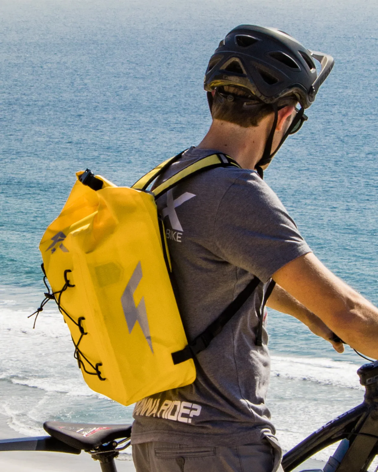 Packs - FLX Pannier Backpack