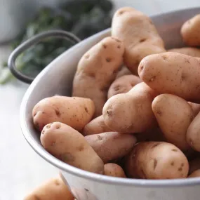 'Pink Fir Apple' Maincrop Salad Seed Potatoes