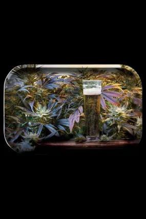 Pulsar "Beer & Bud" Metal Rolling Tray